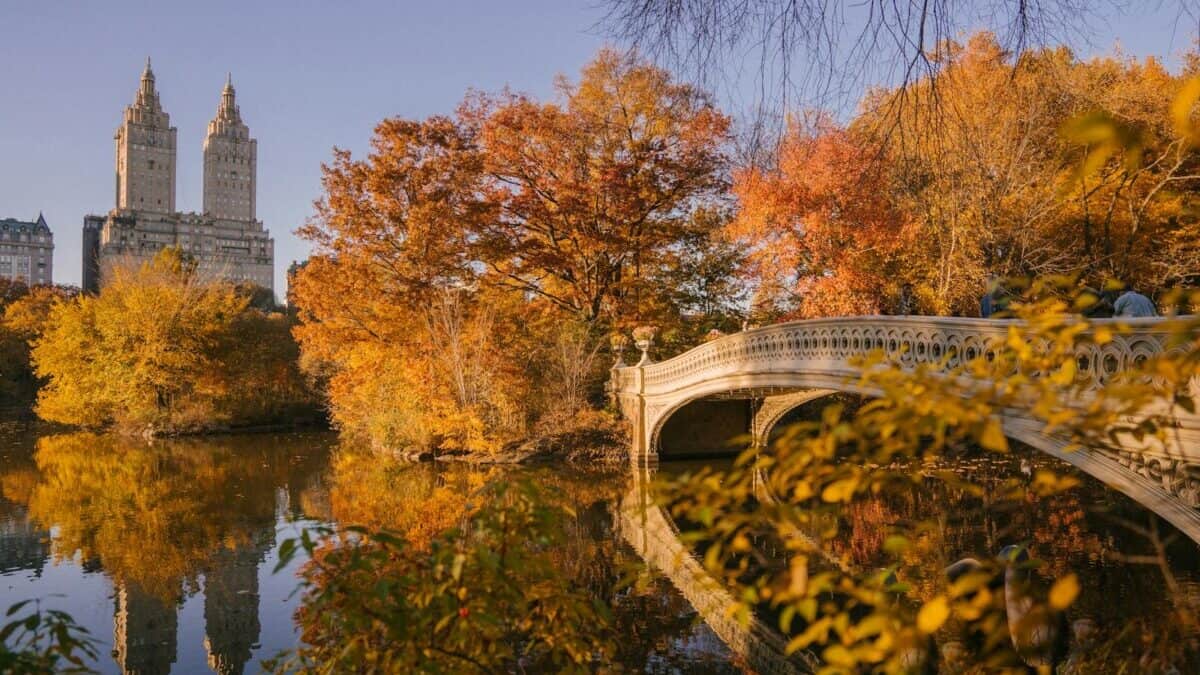 Scenic autumn view of Bow Bridge and reflections in Central Park, NYC
